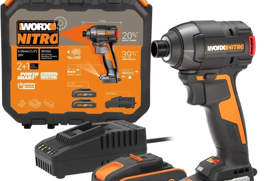 visseuse worx wx265 avis